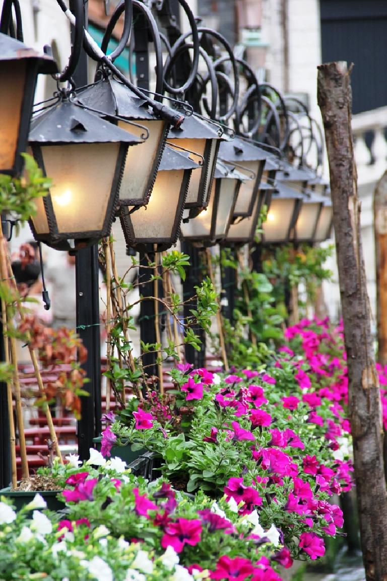 Пілігрымка вернікаў нарачанскай парафіі на кананізацыю Яна Паўла II і Яна XXIII Пілігрымка вернікаў нарачанскай парафіі на кананізацыю Яна Паўла II і Яна XXIII