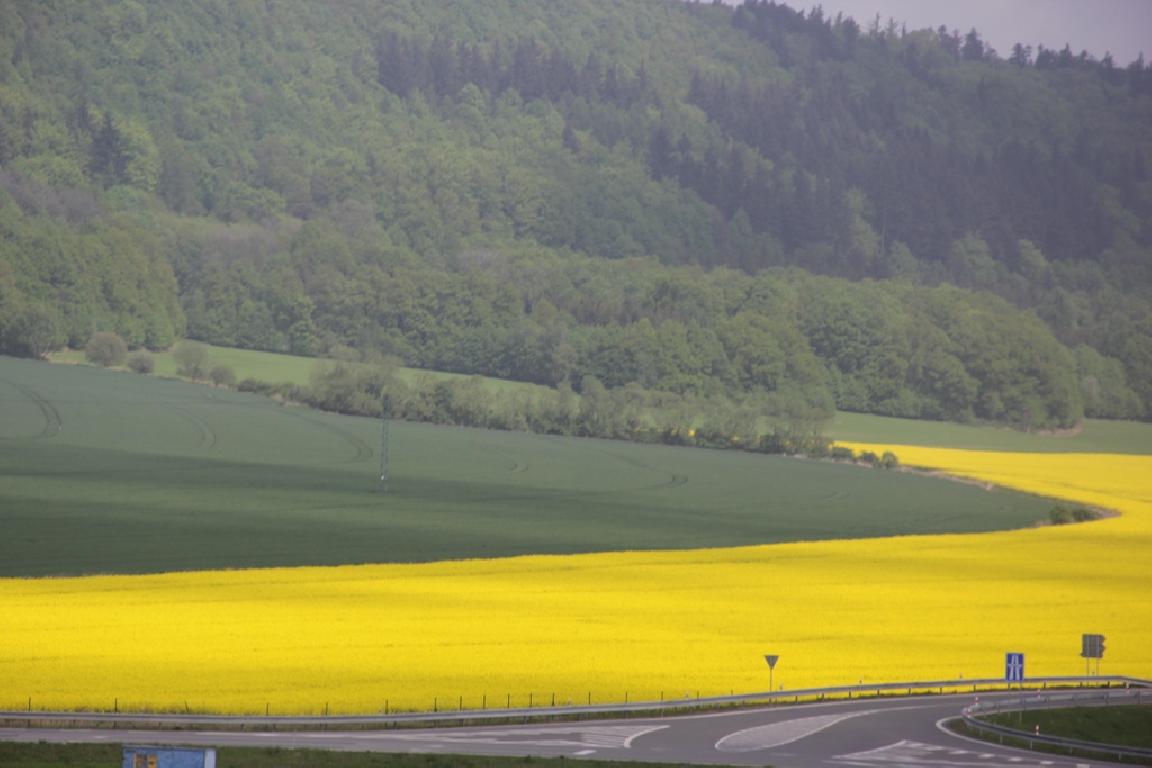 Пілігрымка вернікаў нарачанскай парафіі на кананізацыю Яна Паўла II і Яна XXIII Пілігрымка вернікаў нарачанскай парафіі на кананізацыю Яна Паўла II і Яна XXIII