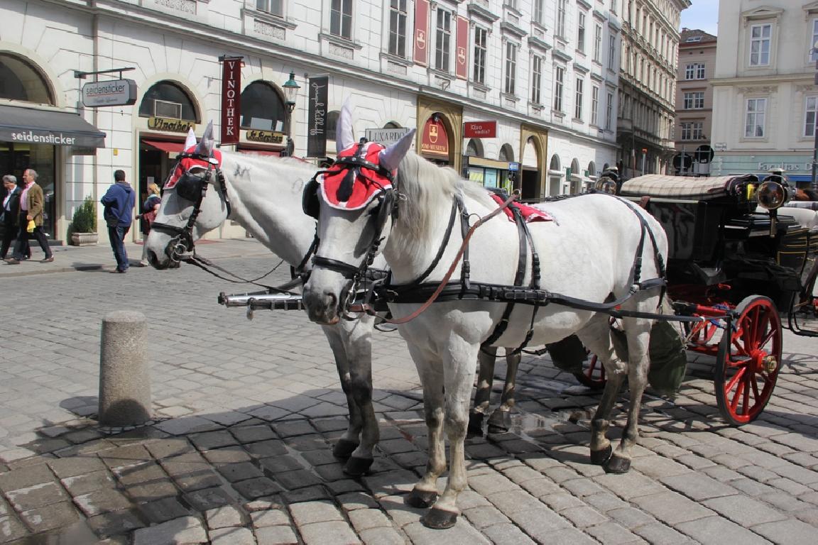 Пілігрымка вернікаў нарачанскай парафіі на кананізацыю Яна Паўла II і Яна XXIII Пілігрымка вернікаў нарачанскай парафіі на кананізацыю Яна Паўла II і Яна XXIII