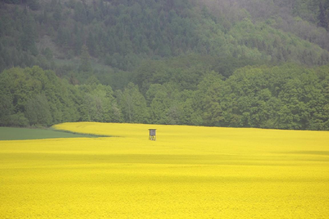Пілігрымка вернікаў нарачанскай парафіі на кананізацыю Яна Паўла II і Яна XXIII Пілігрымка вернікаў нарачанскай парафіі на кананізацыю Яна Паўла II і Яна XXIII